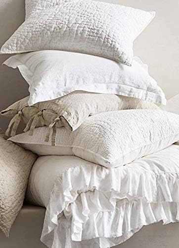 basic home® Hotel-Style Goose Feather Down Euro Pillow Insert for Sofa & Bed - 100% Odorless & Plump Cushion Filler - 233TC Cotton with Inner Liner to Prevent Poking (26x26 Inch)