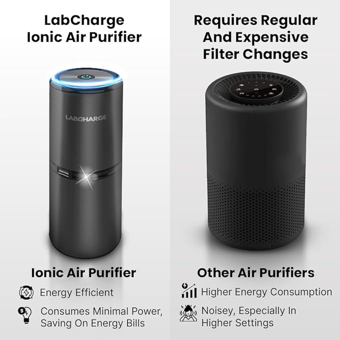 Lab Charge Small Ionic Air Purifier for Home & Bedroom – Silent HEPA Filter – Covers 250 Sq Ft - Free Cleaner for Pets, Hair, Smoke, Dust, Odors & Dander – Compact & Black Design - Pack of 2
