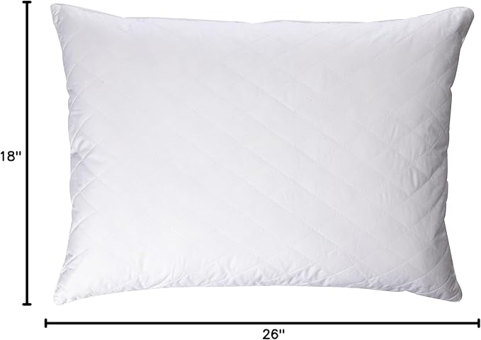 Blue Ridge Home Fashions Quilted Goose and Feather Down Jumbo Pillow in White (Set of 2)