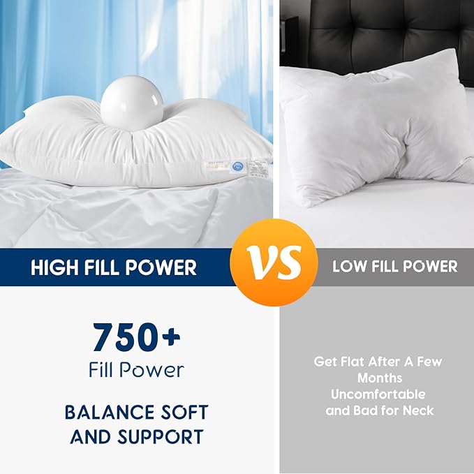 Canadian Fluffy Goose Down Pillow Standard Size 750 Fill Power 80% Goose Down 20% Goose Feather Bed Pillow with 100% Cotton, Teflon Finish Shell Down Pillows Plush and Support (20"X26" Set of 1)