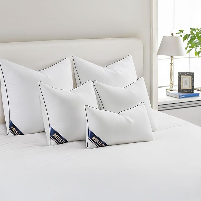 MIULEE 20x20 Pillow Inserts Set of 2 Throw Pillows 20 Inch Premium Down Alternative Pillow Inserts Decorative Pillow Stuffer for Sofa, Couch (20x20 inch, Set of 2) (Pack of 2)