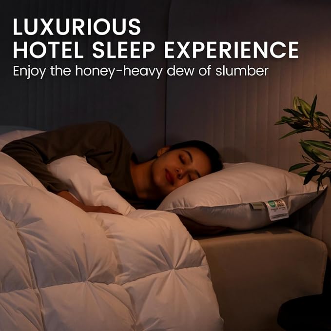 Alanzimo Goose Feathers Down Pillows Standard Queen Size Set of 2, Hotel Collection Fluffy Bed Pillows for Sleeping, 100% Cotton Cover Soft Pillow 20x30 2 Pack