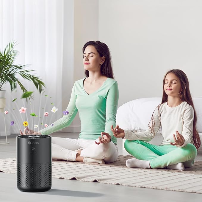 Aucleia Air Purifiers for Bedroom Home with H13 True HEPA Filter, 20dB Quiet Air Cleaner for Pets Hair Dander Odor, Smoke Dust Pollen, Aromatherapy Function, Black