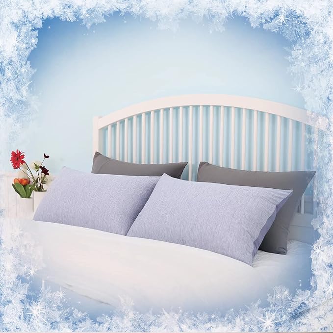 HOMFINE Cooling Pillowcases Queen Size - Double Side Q-Max 0.439 Cooling Fiber for Pillow Protector, Breathable Cold Pillow Cover for Hot Sleeper Night Sweat, Hidden Zipper, 2 Pack (20"x30", Blue)