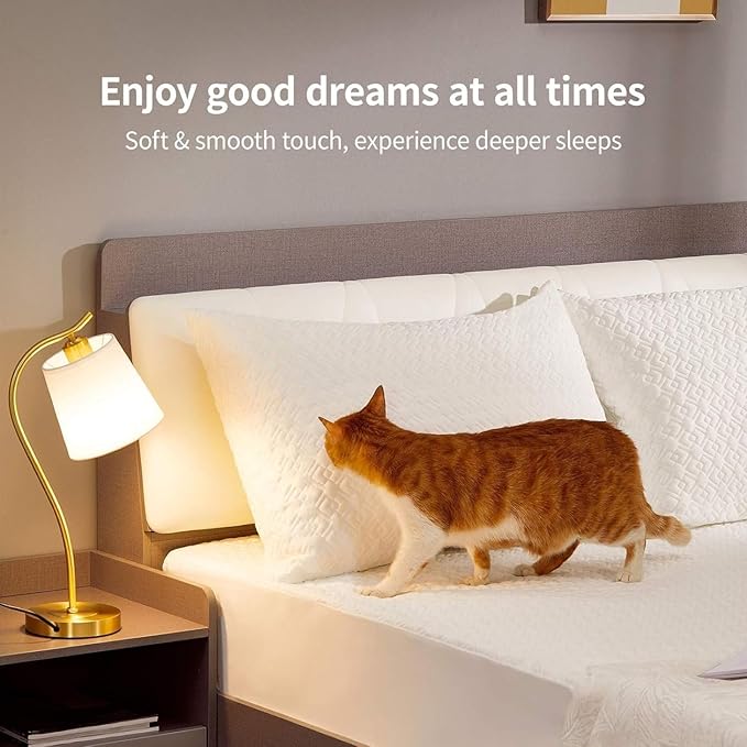 CoolShields Pillow Protector (2 Pack) Queen – Waterproof Zippered Pillow Covers, Hypoallergenic, Premium Pillowcase Encasement for Better Sleep