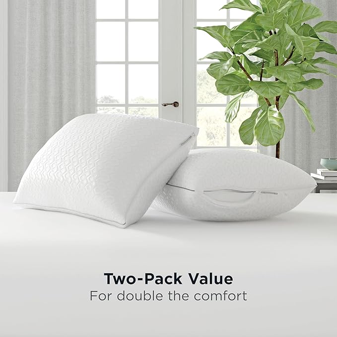 AllerEase Platinum 2-in-1 Adjustable Pillow, CleanBoost Allergen Barrier, Extra Fill, Standard/Queen - 2 Pack