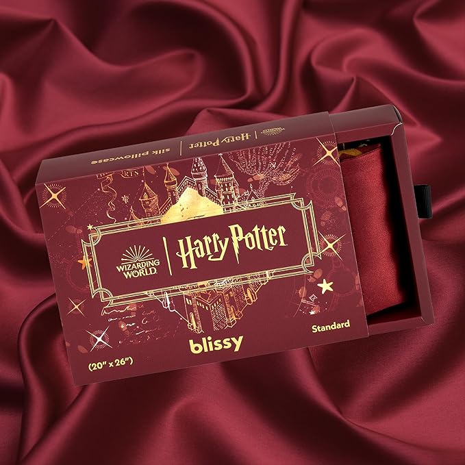 Blissy Silk Pillowcase - 100% Pure Mulberry Silk - 22 Momme 6A High-Grade Fibers - Silk Pillow Cover for Hair & Skin - Regular, Queen & King (Harry Potter - Marauder's Map, Standard)