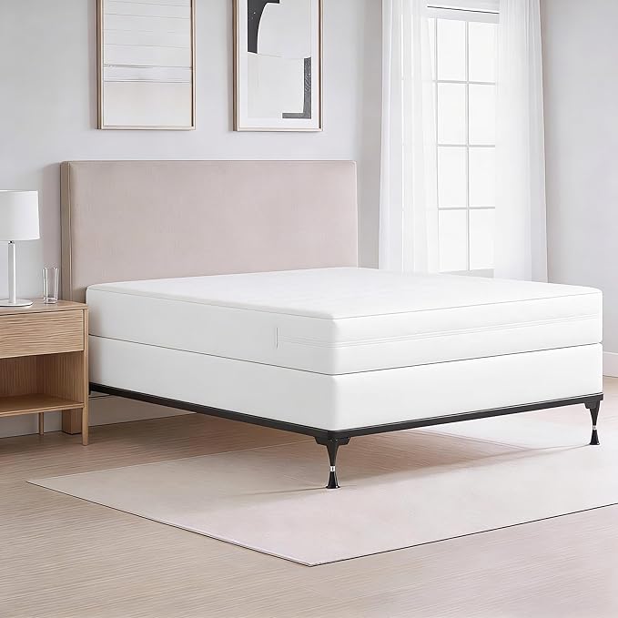All-in-One Mattress Protector, Zippered Encasement, Water & Stain Resistant, Triple Seal Protection, Queen, White