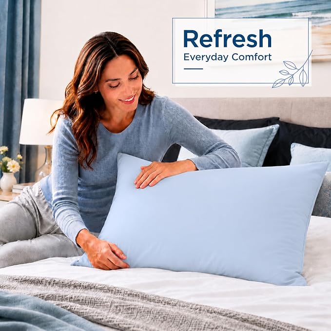 ZPECC Pillow Cases Queen Size Set of 4, 20x30 Envelope Closure Pillowcases, Soft Plain Brushed Microfiber Covers Hypoallergenic Breathable, Light Blue