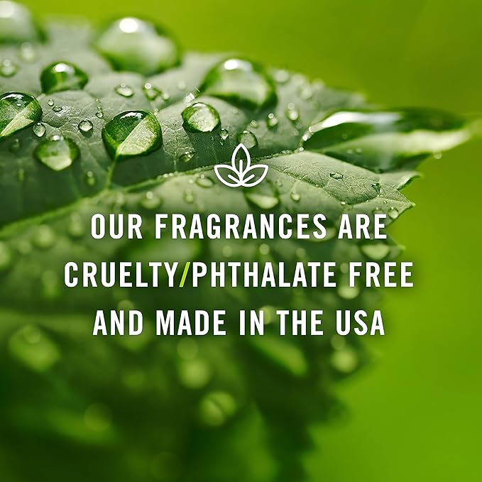 P&J Trading Fragrance Oil | Peach Oil 30ml - Candle Scents for Candle Making, Freshie Scents, Soap Making Supplies, Diffuser Oil Scents