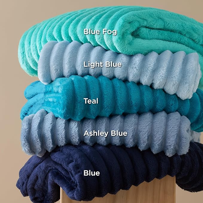 Bedsure GentleSoft Queen Blanket for Bed - Cozy Soft Blankets for Women, Cute Large Fall Throws for Girls, Blue, 90x90 Inches
