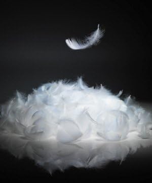 Bulk Goose Down Feather Stuffing & Fill – Hypoallergenic Pillow Filling, Repair, Restuff, Fluff for Couch Cushions, Comforters, Jackets5/95-8Lb DIY