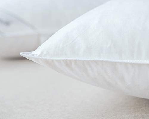 Goose Down Feather Pillows Bedding Hotel Pair Pillows 100% Cotton Cover Set of Two Queen Size 20x30inch White Color