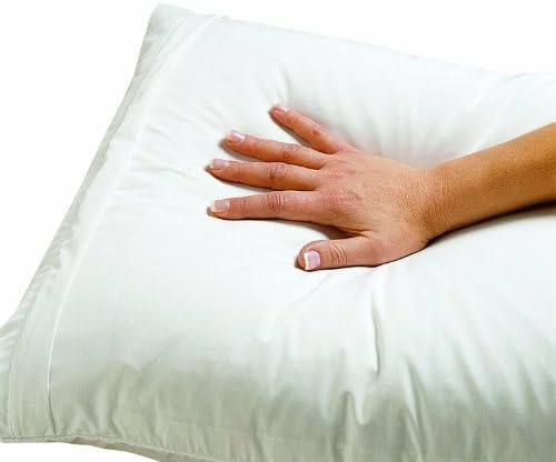 Dust Mite and Allergen Proof Pillow Encasing (Cover); Premium Microfiber (Queen)
