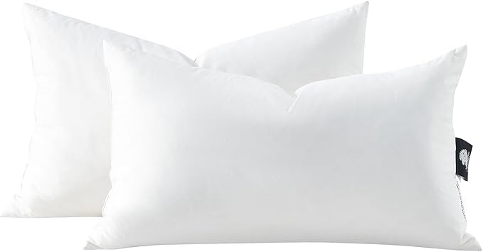 APSMILE Down Feather Throw Pillow Inserts, 14x24 Pillows Set of 2 with Organic Cotton Cover, Soft Decorative Pillows for Couch Living Room, Sofa, and Bed