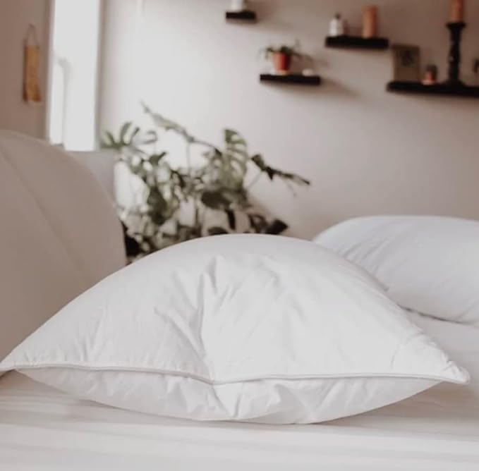 Down Dreams Classic Pillow Jumbo Soft Doubletree by Hilton Hotels Set of 2 with BBH Pillow Protectors
