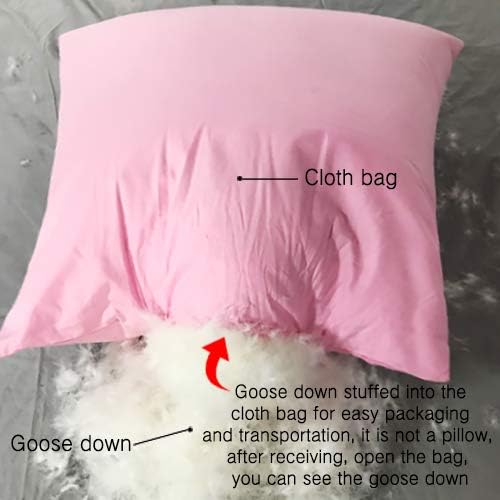 Bulk White Goose Down and Feather - 90% Down 650 + Fill Power Goose Down Stuffing Bedding Pillow DIY USA Standard (200g,0.44LB 90% White Goose Down)