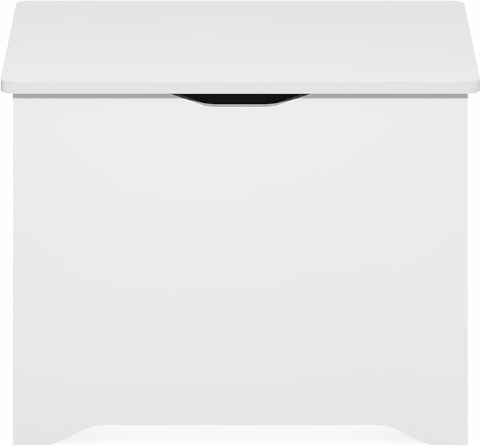 Furinno Basic Storage Chest, Storage Bench with Safety Hinged Soft Closed Lid, Storage Box, 15.6 x 23.6 x 18, for Living Room, Bedroom, Entryway, Living Room, White