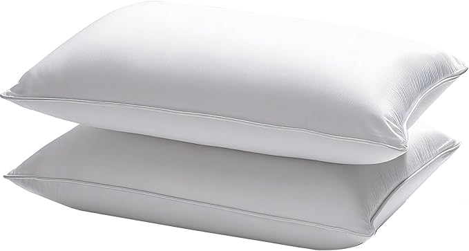 Waterproof Pillow Protectors Queen Size 20x28 Inches 2 Pack with Zipper Dust Proof Moisture Proof Sweat Proof Pillow Case Cover Protector Soft Cozy White