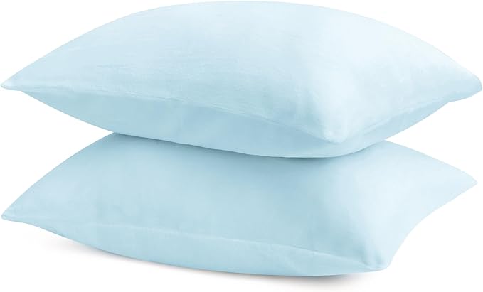BEDELITE Flannel Pillow Cases Queen Size Set of 2, Super Soft Fleece Pillowcases with Zipper for Bedroom, Sofa, Couch,Luxury Cozy Fuzzy Velvet Pillow Shams for All Seasons(20x30 Inches,Blue)