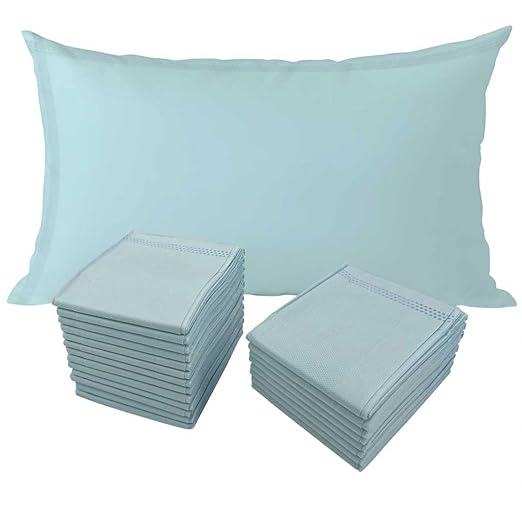 Disposable Pillow Case Covers(Pack of 100),Bulk Pillow Cases for Medical Hospital Travel,Paper Pillow Cases Disposable 21” Width x 30”Length (Blue)