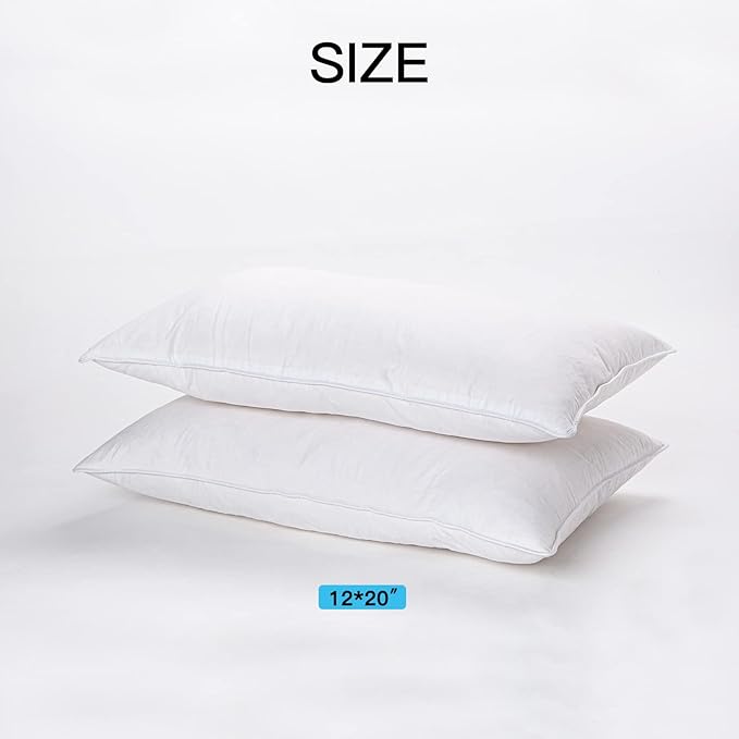 18"x18" Pillow Inserts Soft Feather Pillow Set of 2 Indoor Decorative Sofa Down Pillows Bed Pillows Couch Pillow