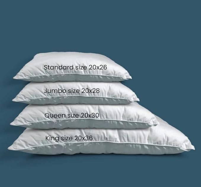 Down Dreams Classic Pillow Jumbo Soft Doubletree by Hilton Hotels Set of 2 with BBH Pillow Protectors