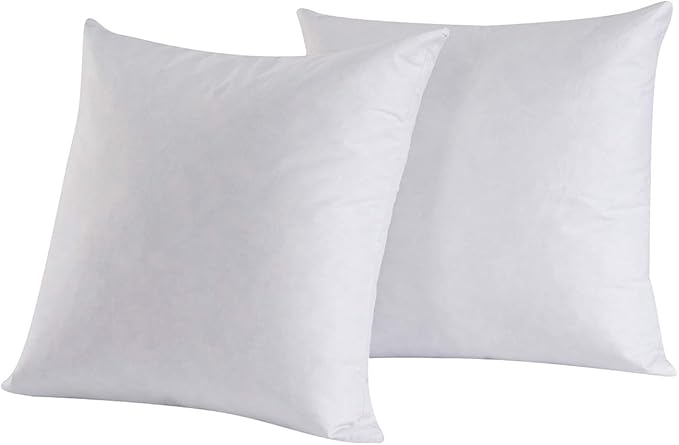Set of 2 Feather and Down Pillow Insert, 14x14 Square Decorative Throw Pillow Insert, Cotton, White