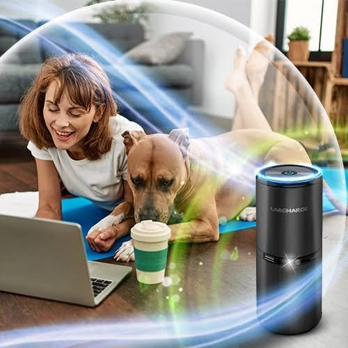 Lab Charge Small Ionic Air Purifier for Home & Bedroom – Silent HEPA Filter – Covers 250 Sq Ft - Free Cleaner for Pets, Hair, Smoke, Dust, Odors & Dander – Compact & Black Design - Pack of 2