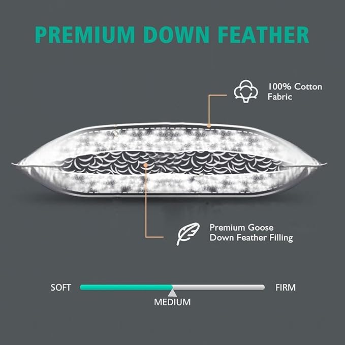 APSMILE 22x22 Down Feather Throw Pillow Inserts 2 Pack - Premium Soft Cotton Euro Square Decorative Pillow Core Set for Bed, Sofa, Couch, Ivory White