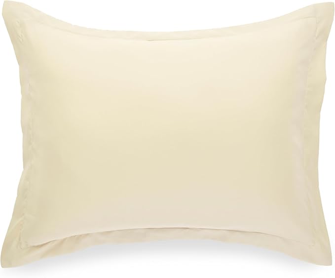 Amazon Basics Lightweight Microfiber 2-Piece Duvet Cover Set, Twin/Twin XL, Beige