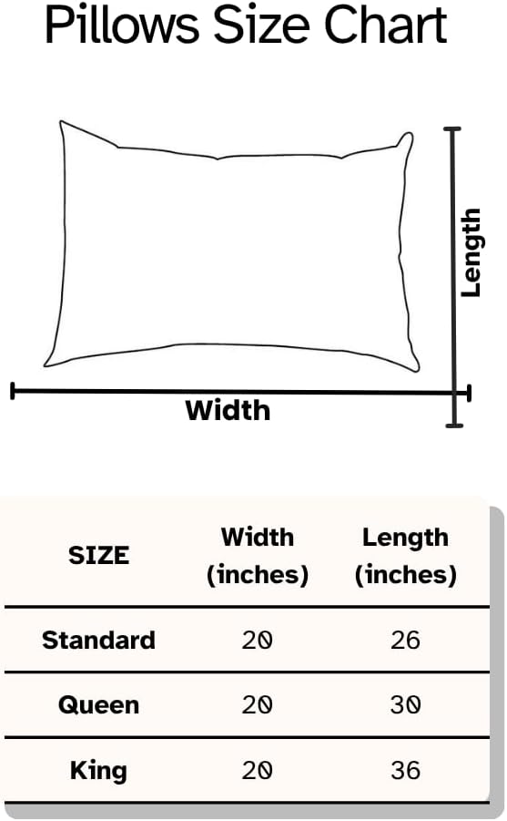 Canadian Down & Feather Co. – 2 Pack Firm Support White Goose Feather Pillow Standard Size – 255 TC Shell 100% Cotton – Filled in Canada