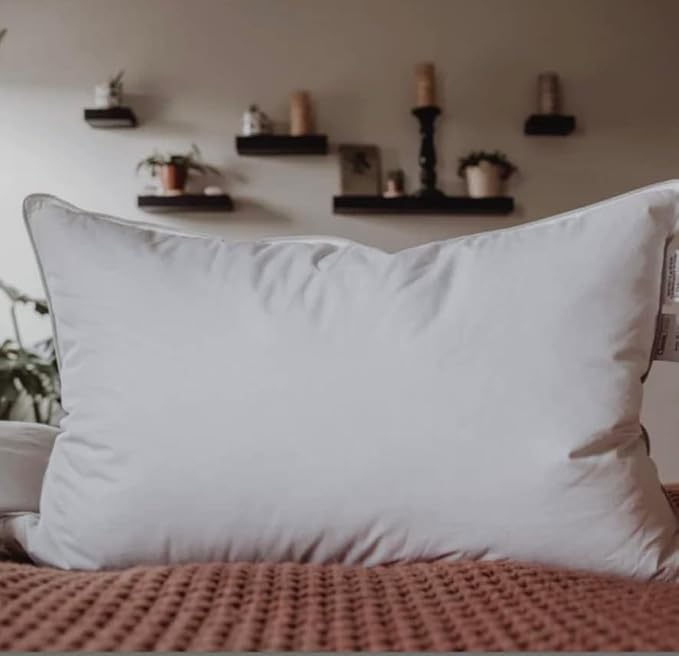 Down Dreams Classic Pillow Jumbo Soft Doubletree by Hilton Hotels Set of 2 with BBH Pillow Protectors
