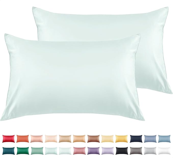 Warmstar Cotton Pillow Cases Queen Size Set of 2, 600 Thread Count Pillowcases 20x30 Inches, Soft Long Staple Cotton Pillowcases Breathable with Envelope Closure,Sky Blue