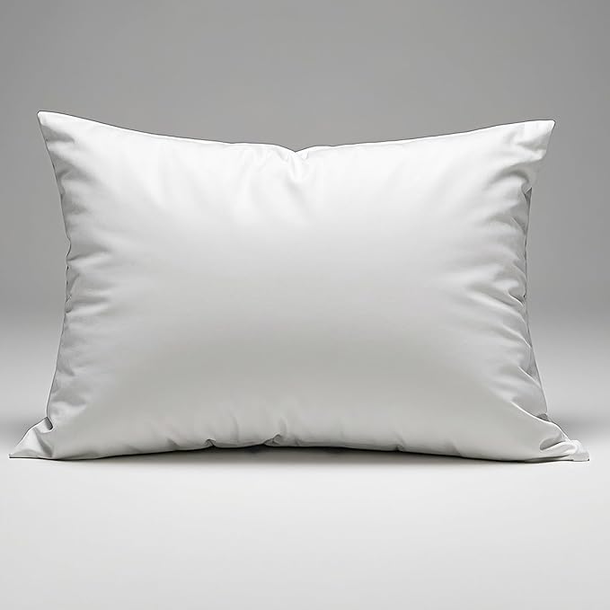 Waterproof Pillow Protectors Queen 20x28 Inches 4 Pack with Zipper Dust Proof Moisture Proof Sweat Proof Pillow Case Cover Protector Soft Cozy White