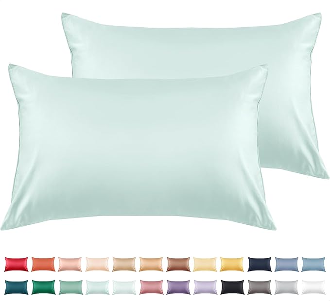 Warmstar Cotton Pillow Cases Queen Size Set of 2, 600 Thread Count Pillowcases 20x30 Inches, Soft Long Staple Cotton Pillowcases Breathable with Envelope Closure,Lagoon