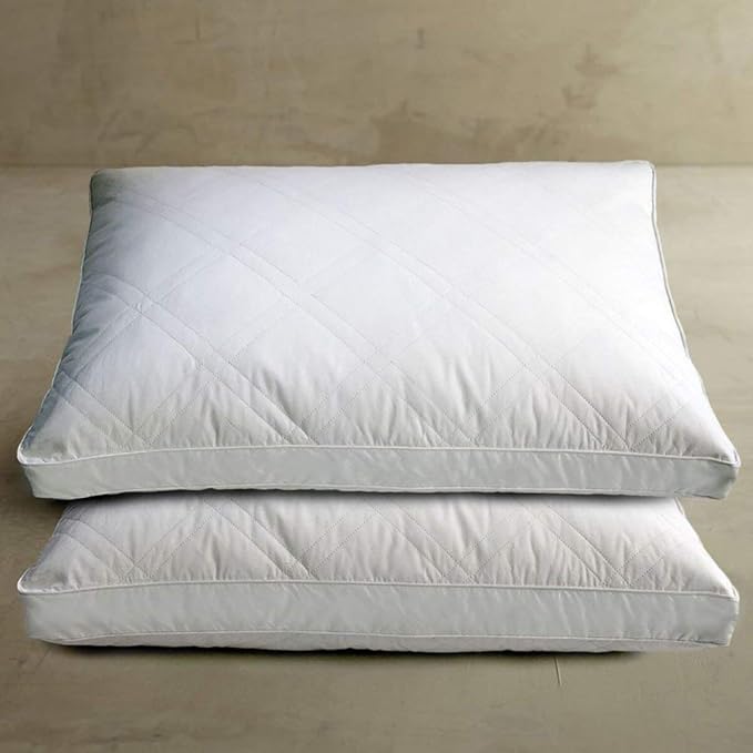 Blue Ridge Home Fashions Quilted Goose and Feather Down Jumbo Pillow in White (Set of 2)