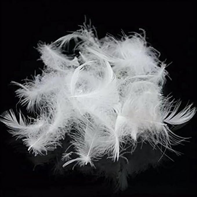 Bulk Goose Down Feather Stuffing & Fill – Hypoallergenic Pillow Filling, Repair, Restuff, Fluff for Couch Cushions, Comforters, Jackets5/95-2Lb DIY