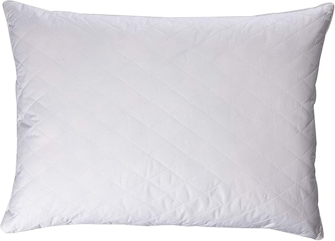 Blue Ridge Home Fashions Quilted Goose and Feather Down Jumbo Pillow in White (Set of 2)