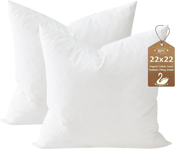 BPC 22x22 Down Feather Throw Pillow Inserts Set of 2, 100% Organic Cotton Cover, Soft Square Decorative Pillow for Sofa, Couch and Bed, White