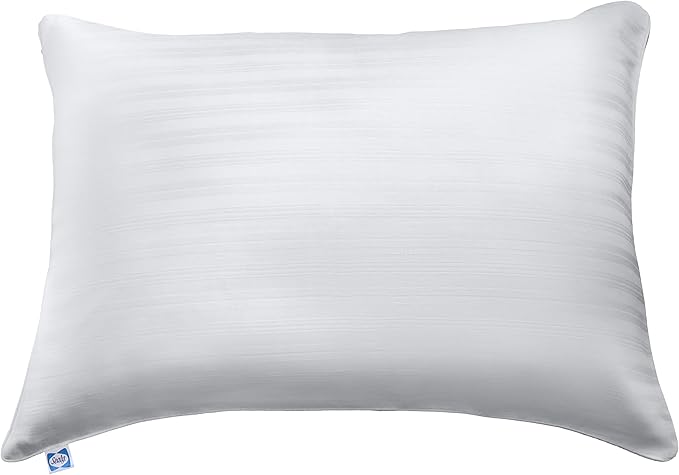 Sealy Pillow Cover, Soft Comfort Bed Pillow Protector, 2 Pack, Standard/Queen Pillow Cover