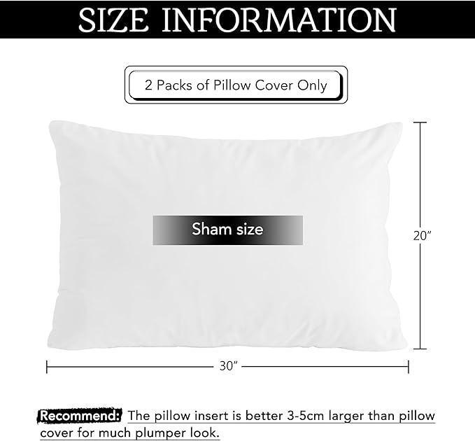 StangH Bed Pillow Pillowcase Super Soft Velvet Skin Friendly Bed Pillow Cover for Hair and Skin Hidden Zipper, Queen Size (Beach White, 20 x 30 inches) Set of 2