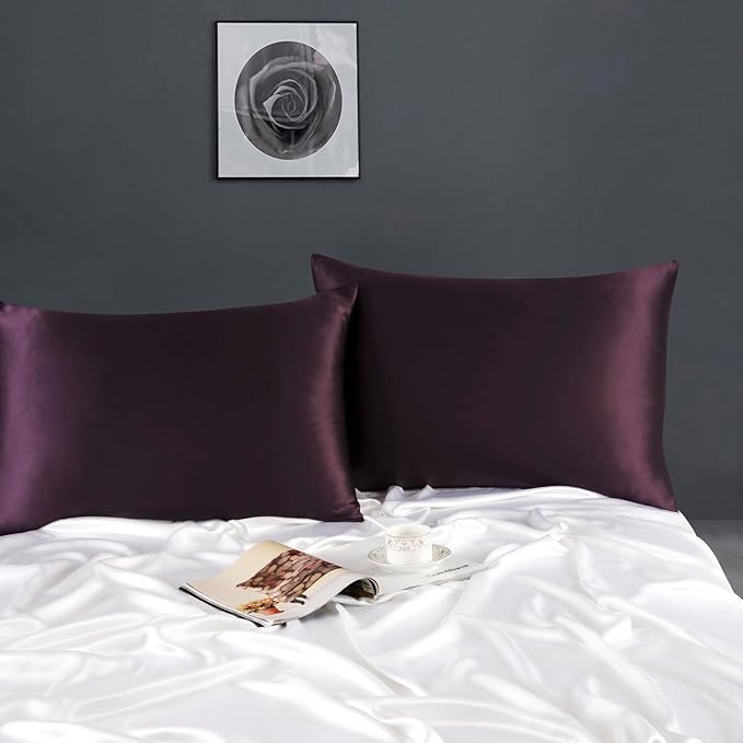 ZIMASILK 100% Pure Mulberry Silk Pillowcase for Hair and Skin Health,Soft and Smooth,Both Sides Premium Grade 6A Silk,600 Thread Count,with Hidden Zipper,1pc (Queen 20''x30'',Eggplant Purple)
