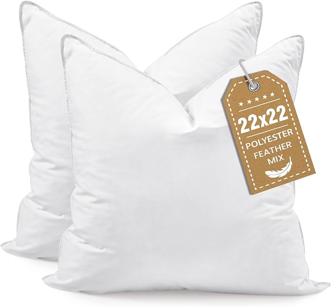 BHZ Euro Throw Pillow Inserts, 22x22 Down Feather Alternative Pillow Inserts Set of 2, Decorative Soft Large Square White Throw Pillows Insert for Couch Bed Dorm Sofa with Breathable Cover
