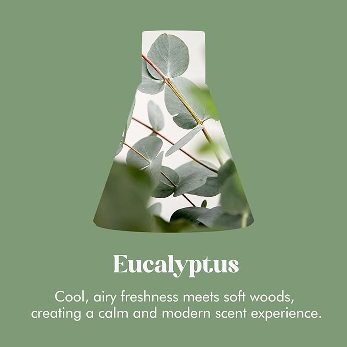 Azulfra Reed Diffuser Set, Eucalyptus Scented Diffuser for Home, Home Fragrance Scent Essential Oil Stick Diffuser for Room Shelf Decor, 3.4 oz