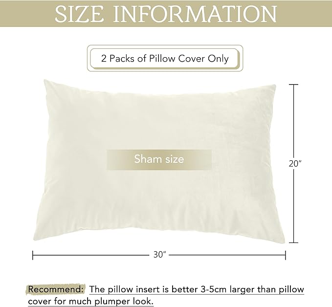 StangH Cream White Pillowcovers Bed Pillowcases Super Soft Velvet Pillow Covers Warm Pillow Protector for Babies/Hair and Skin Friendly, Set of 2, Ivory White, 20 x 30 inches