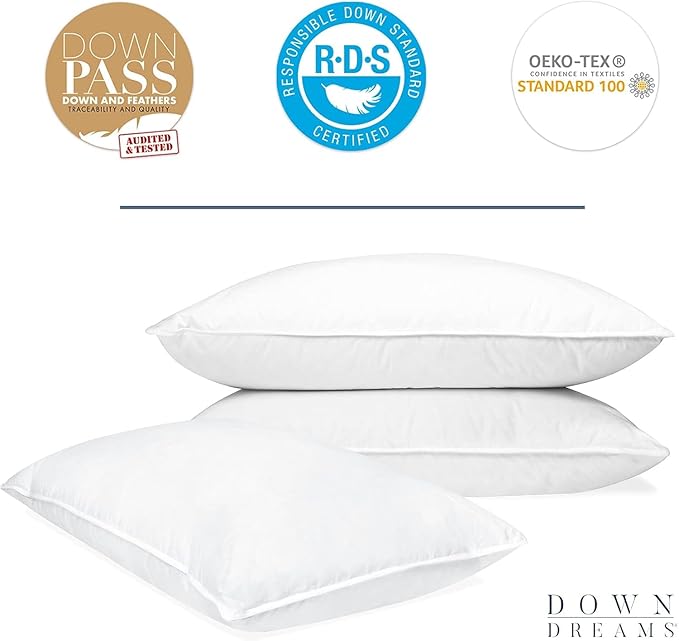 Down Dreams Classic Pillow Jumbo Soft Doubletree by Hilton Hotels Set of 2 with BBH Pillow Protectors