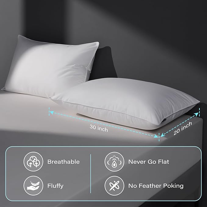 DOWNSTORIA Goose Feather Down Pillow Queen Size Set of 2, Firm Hotel Collection Bed Pillows for Sleeping, 2 Pack, Down Surrounded Pillows for Side Sleepers 20 x 30 in.