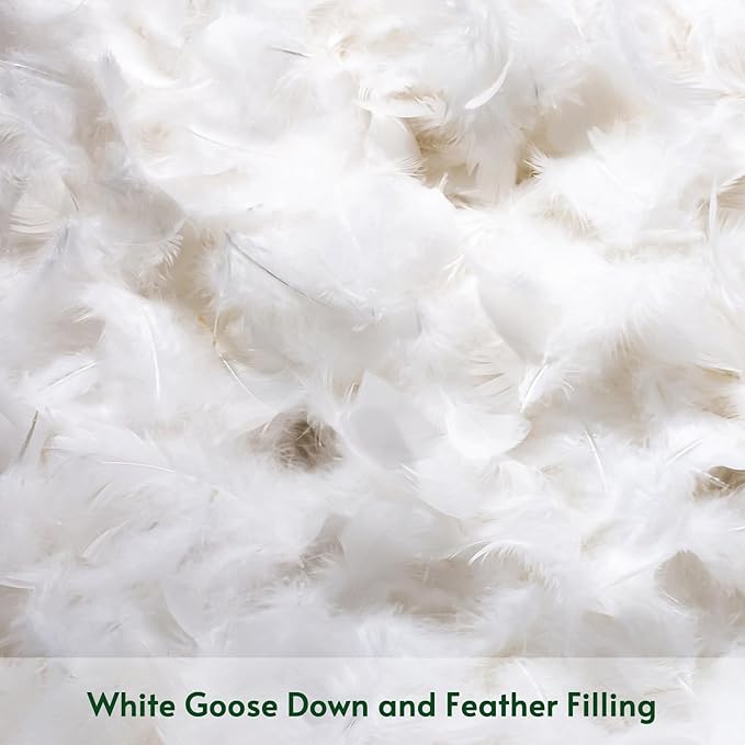 OTOSTAR Pack of 2 Down and Feather Throw Pillow Inserts, 22 x 22 Soft Fluffy Square Pillow Inserts with 100% Cotton Cover Decorative Pillows for Sofa Couch Bed-White