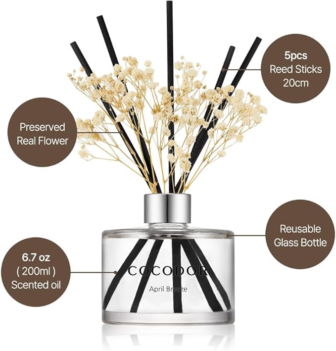 COCODOR Preserved Real Flower Reed Diffuser/Black Cherry / 6.7oz(200ml) / 2 Pack/Reed Diffuser Set, Oil Diffuser & Reed Diffuser Sticks, Home Decor & Office Decor, Fragrance and Gifts